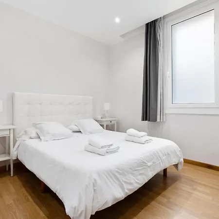 Flateli Pelayo H2 * Barcelona
