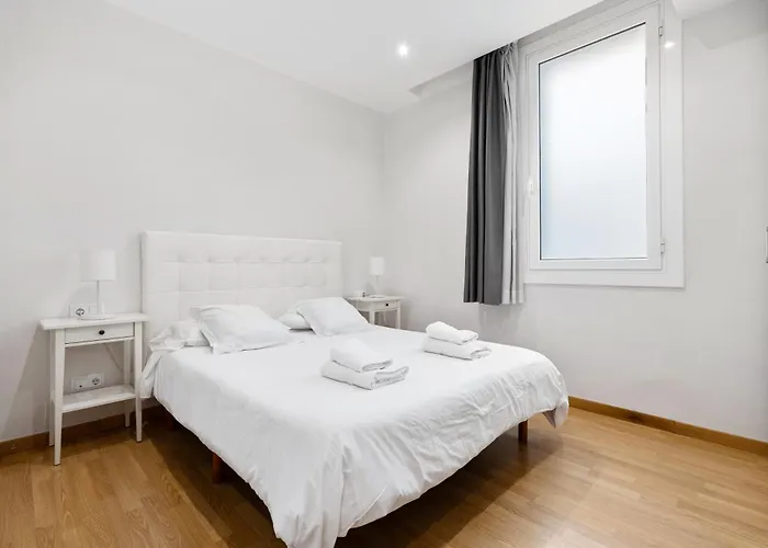 Flateli Pelayo H2 * Barcelona